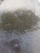 20190414_111129.jpg