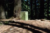 DSC_2508.JPG