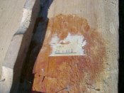 DSC00786.jpg