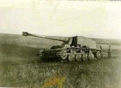 164687665.jpg