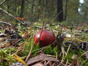 DSCF3881.jpg