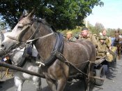 Изображение 139.jpg