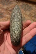 IMAG0566.jpg