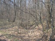 IMG_2445.JPG