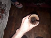 20190415_173516.jpg