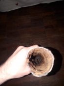 20190415_173738.jpg