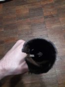 20190415_173802.jpg