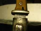 IMG_1950.jpg