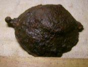 IMG_0005.JPG