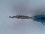 Эдельвейс (Знак на головной убор)