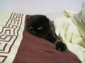 IMG_3194.JPG