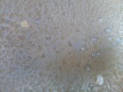 IMG_20190411_164656.jpg