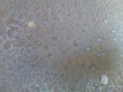 IMG_20190411_164651.jpg