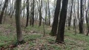 IMG_20190418_131104.jpg
