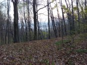 IMG_20190418_062725.jpg