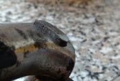 IMG_20190419_111031533.jpg