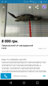 Screenshot_2019-04-21-13-06-23.png