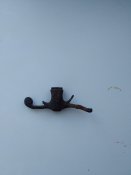 P90421-095730.jpg