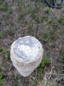 IMG_20190421_165326.jpg