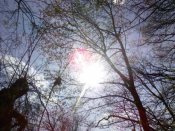 IMG_20190421_162008.jpg