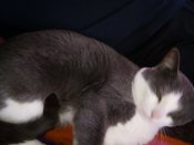 IMG_20190422_163710.jpg