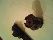 DSC00567.jpg