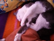 IMG_20190114_134950.jpg