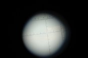 DSC00106.JPG