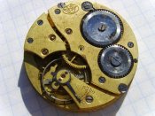 PIC_0295.jpg