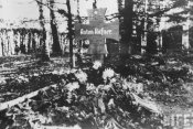 Hafner's grave.jpeg