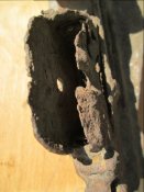 IMG_0800.jpg