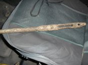 SAM_0528.jpg