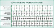 Оригинальные ботинки Британских полицейских(новые,оригинал)-190грн