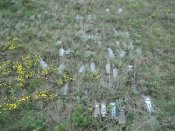 DSC00848.JPG
