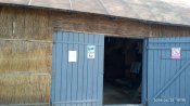 IMG_20190426_103026.jpg