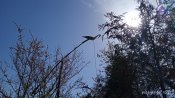 IMG_20190426_103148.jpg