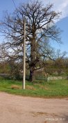 IMG_20190426_105150.jpg