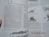 DSCN6198.JPG