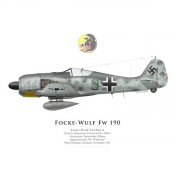 focke-wulf-fw-190a-6-hptm-johannes-naumann-6jg-26 (1).jpg