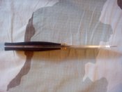 IMG_20120928_110602.jpg
