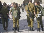 2881669.jpg