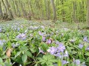 IMG_20190426_134517.jpg