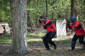 peyntbol-Gepard--900x600.jpg
