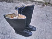 DSC_0570.JPG