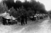 SdKfz_222_17.Panzer_division_Eastern_front.jpg