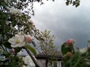 IMG_20190428_174710.jpg