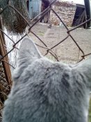 IMG_20190428_182503.jpg