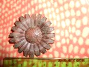 DSCN1098.jpg