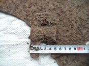 DSC08447.JPG