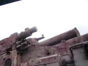 IMG_4575.jpg